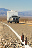 FARWEST 2494 copia